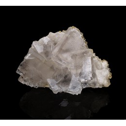 Fluorite with Pyrite phantoms - La Viesca  M05116